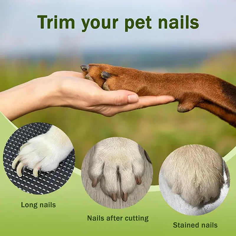 LINKEVAP 2-In-1 Pet Nail Clipper & Grinder Set - Ultra Quiet Rechargeable Dog & Cat Paw Trimmer, Suitable for All Size Pets' Toes and Claws